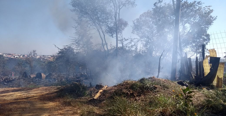 Leia mais sobre o artigo Defesa Civil alerta para o aumento no número de queimadas no município