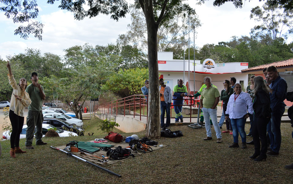 Leia mais sobre o artigo Secretaria de Meio Ambiente participa de capacitação sobre arborização urbana