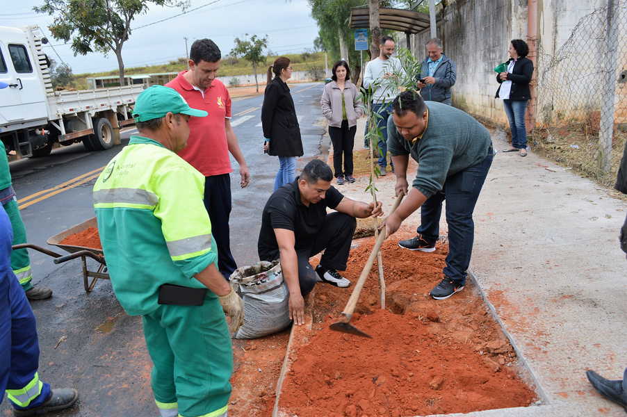 Leia mais sobre o artigo Secretaria de Meio Ambiente inicia programa de arborização no Madre Paulina