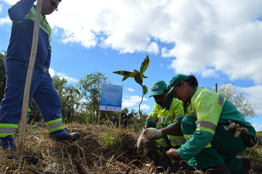 Leia mais sobre o artigo Prefeitura faz o plantio de 300 mudas de árvore para recuperação de nascente