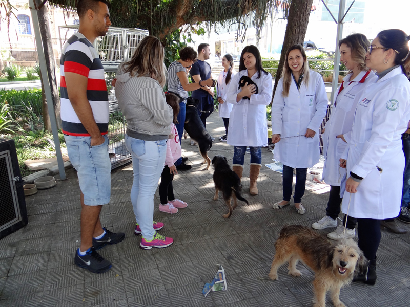 Leia mais sobre o artigo Prefeitura promove 5ª Campanha de Adoção de Animais do Canil Municipal