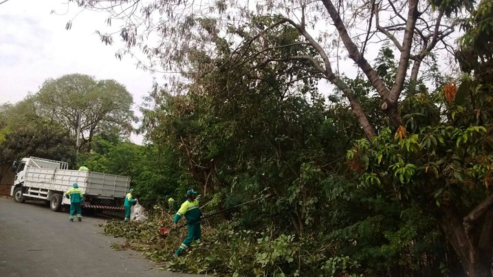 Leia mais sobre o artigo Projeto de compostagem auxilia na ampliação de vida útil do aterro sanitário