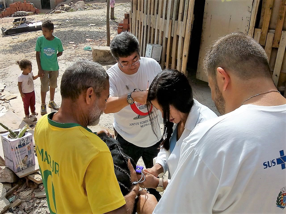 Leia mais sobre o artigo Campanha fecha o ano com 2100 castrações de cães e gatos