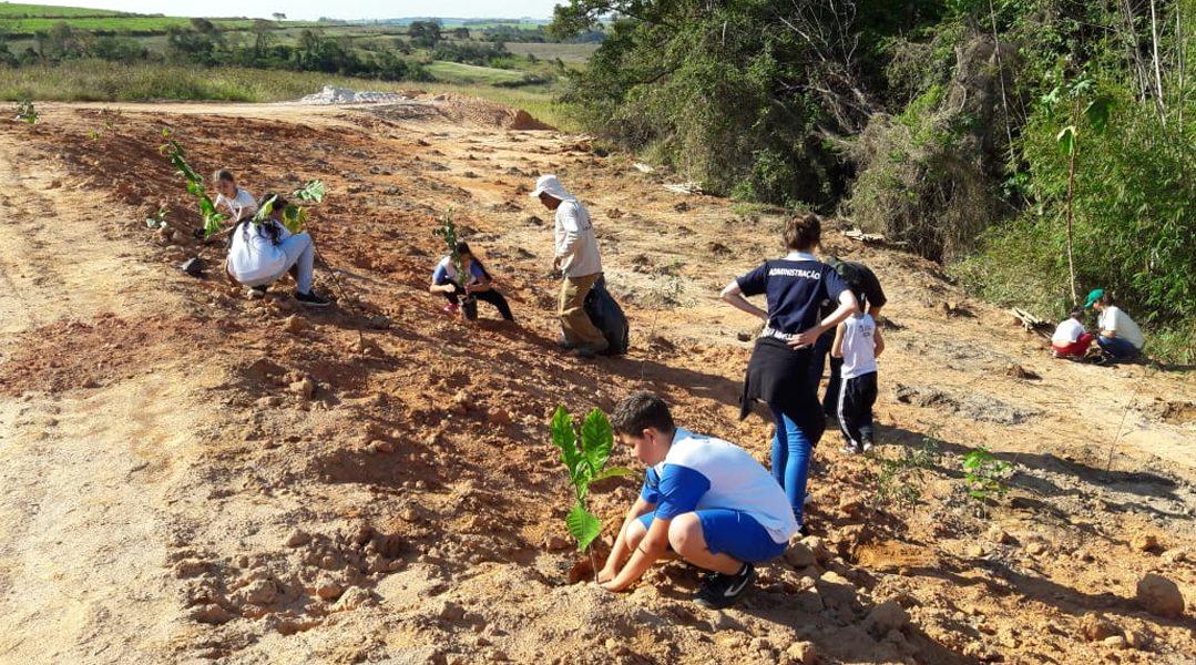 Leia mais sobre o artigo Secretaria do Meio Ambiente realiza plantio de 800 mudas no Jardim das Américas