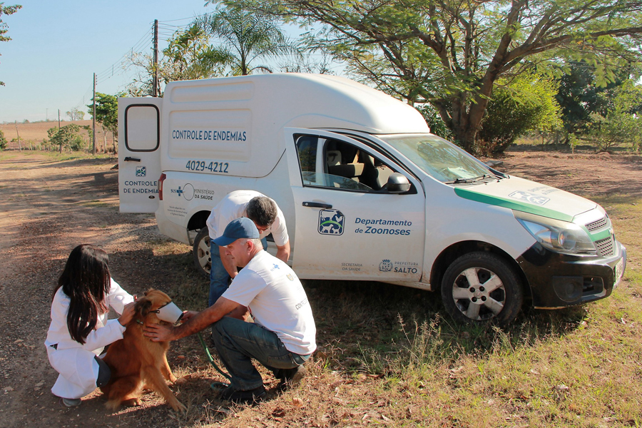 Leia mais sobre o artigo Zoonoses inicia campanha vacinação animal na zona rural da cidade