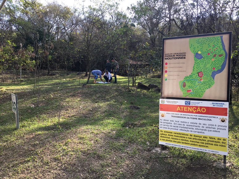 Leia mais sobre o artigo Instituto Biológico de Campinas visita os Parques do Lago e Rocha Moutonnée