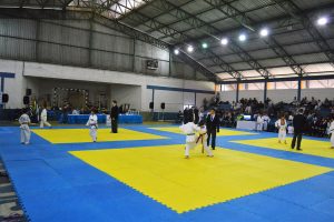 Copa Salto de Judô