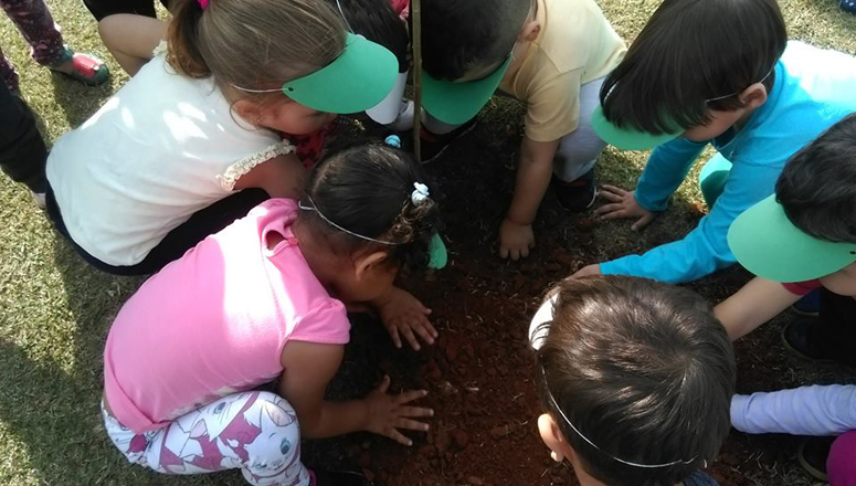 Leia mais sobre o artigo Arborização acontece na escola Cemus XII