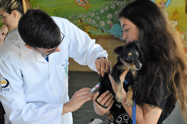 Leia mais sobre o artigo Campanha de vacinação antirrábica vacinou no total 2.504 animais