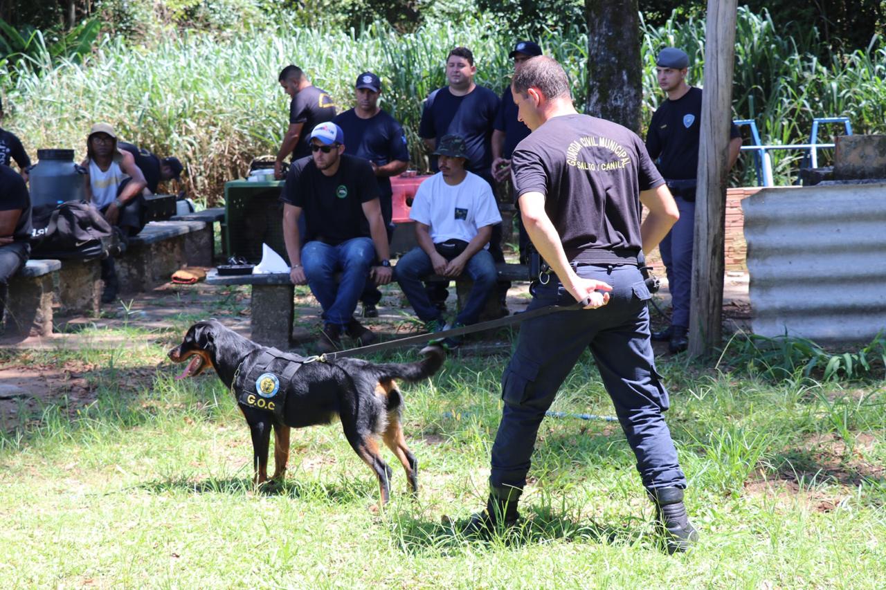 Leia mais sobre o artigo Integrantes do Grupo de Operação com cães participam de workshop da Força Aérea