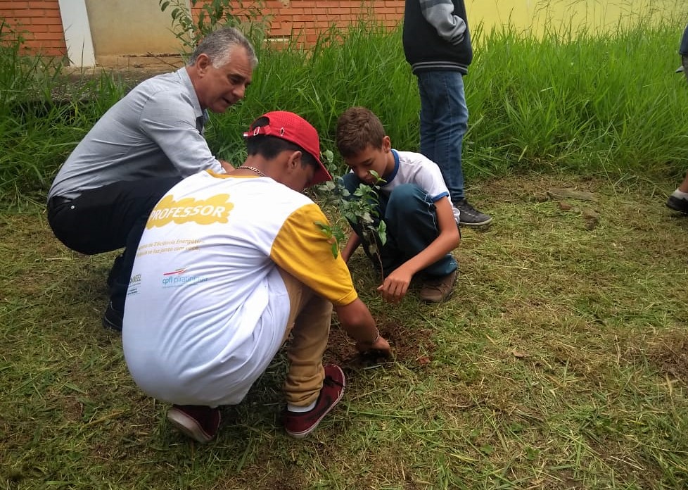 Equipe Técnica Da Secretaria Do Meio Ambiente Realiza Plantio Na Ee Irmã Maria Nazarena 6623