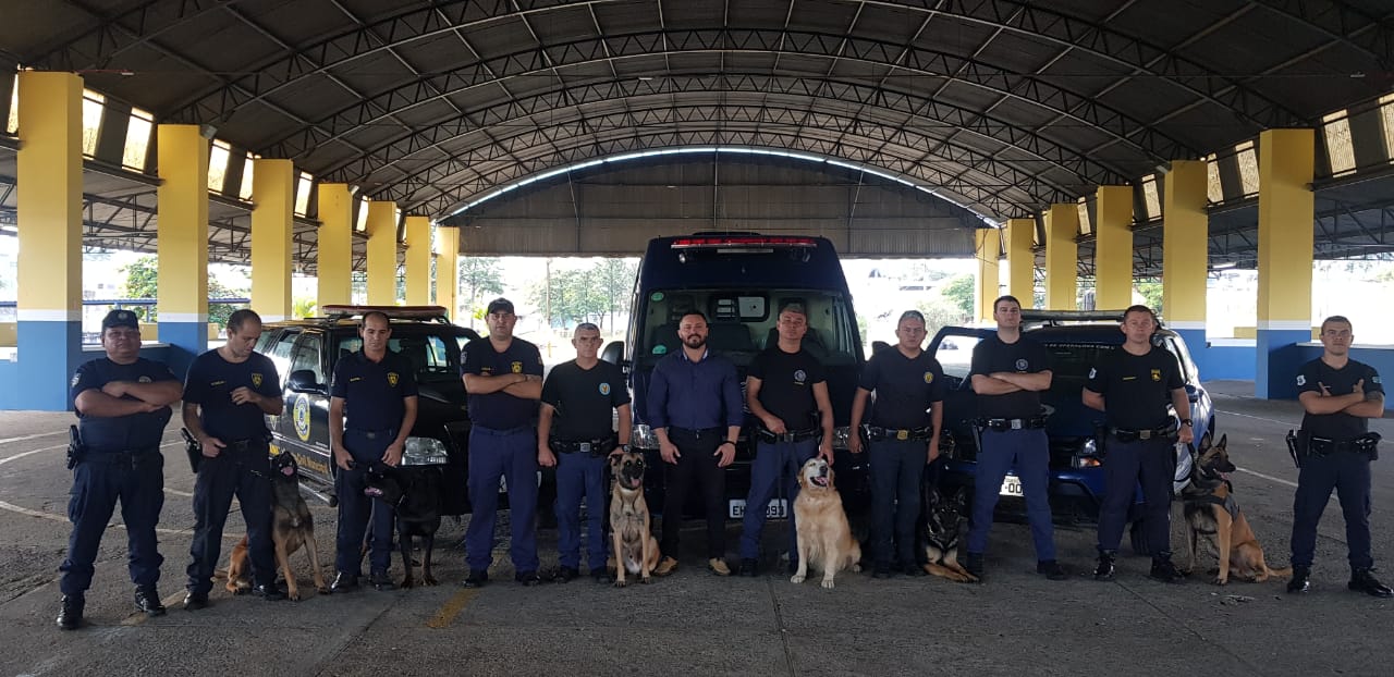 Leia mais sobre o artigo Grupo de Operações com Cães de Salto participa de treinamento operacional