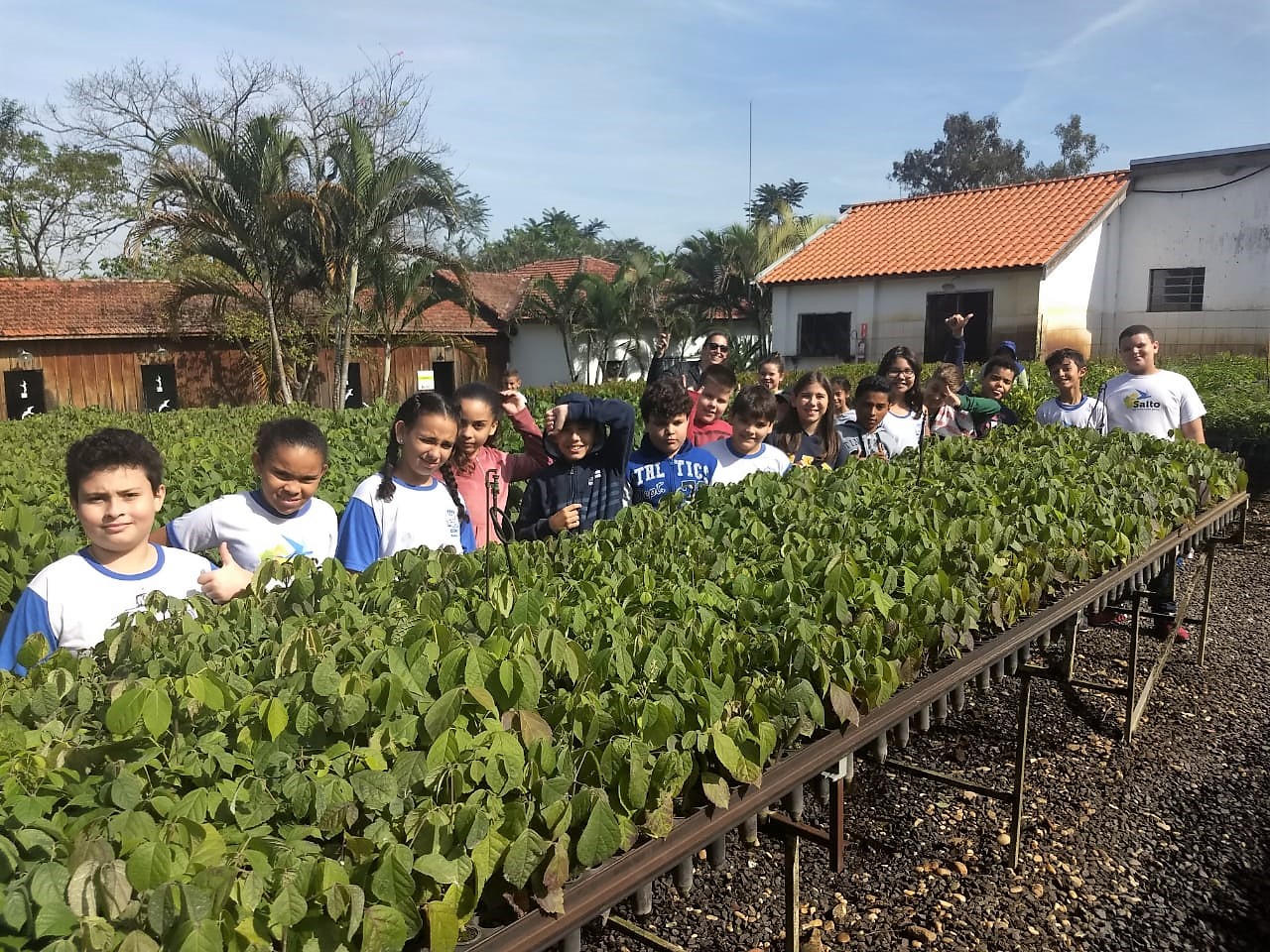 Leia mais sobre o artigo Alunos da rede municipal visitam Centro de Experimentos Florestais SOS Mata Atlântica