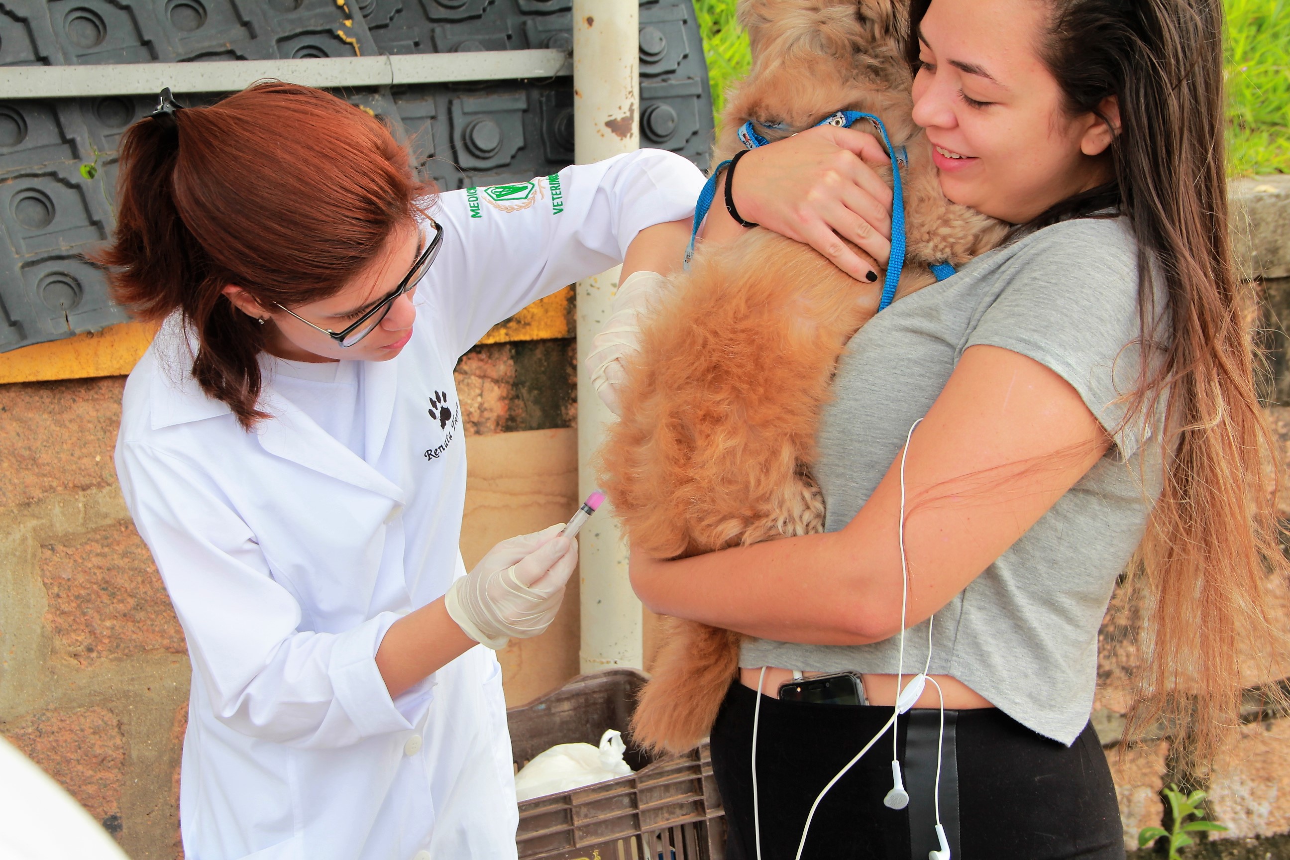 Leia mais sobre o artigo Campanha de Vacinação Antirrábica para cães e gatos será dia 25