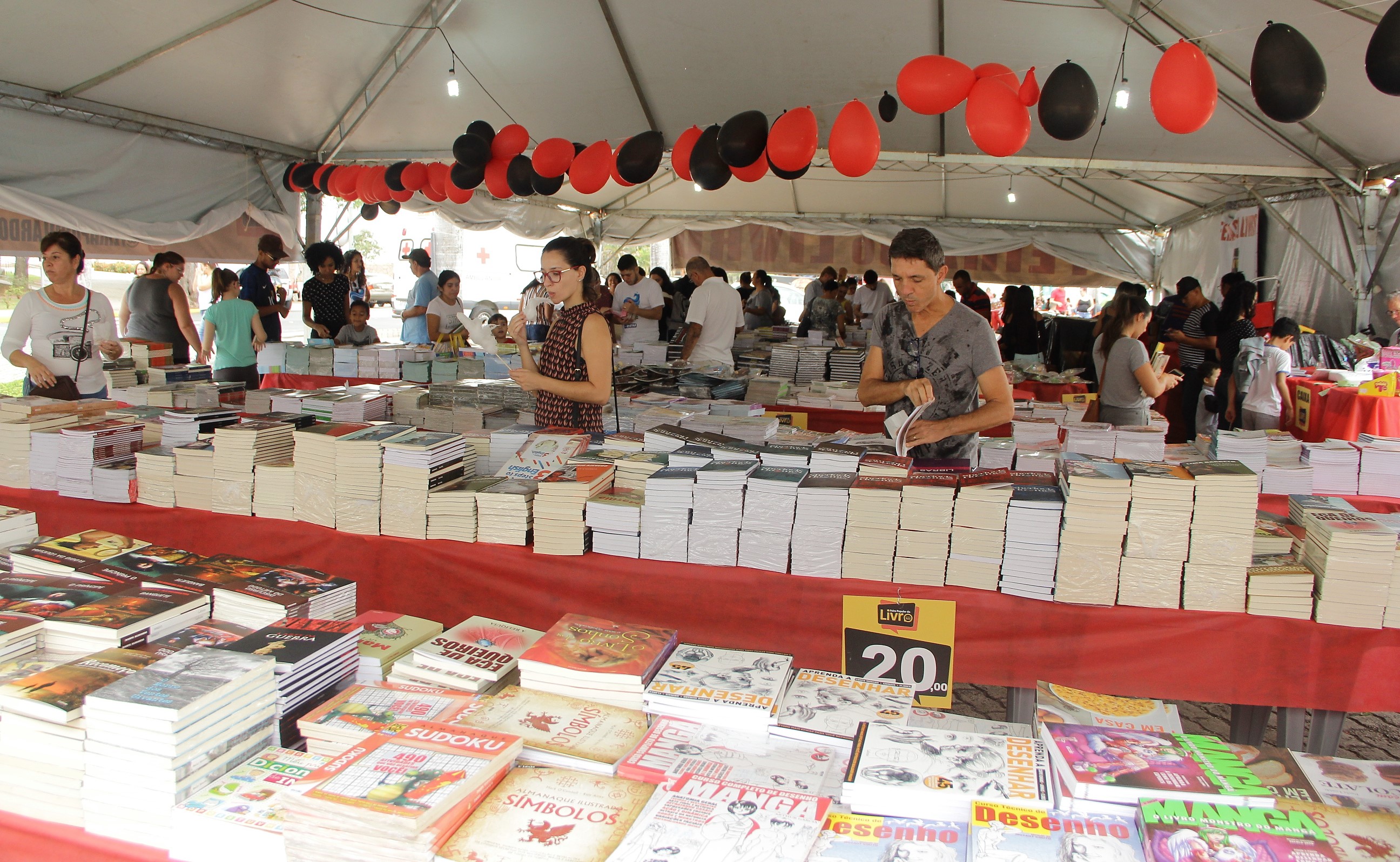 Leia mais sobre o artigo Feira Popular do Livro realiza doações à Biblioteca Municipal de Salto