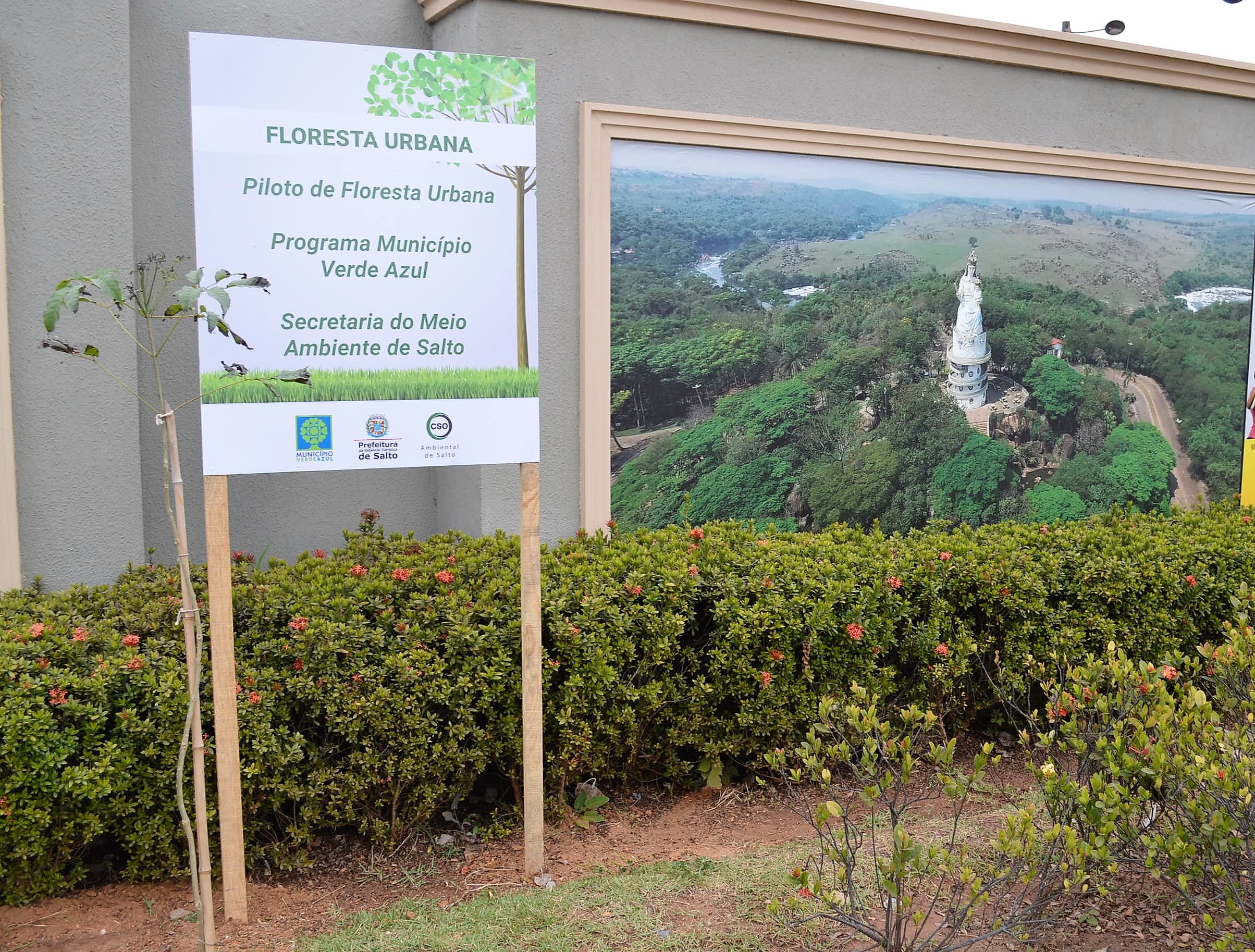 Leia mais sobre o artigo Implantação do conceito de Floresta Urbana prossegue em Salto