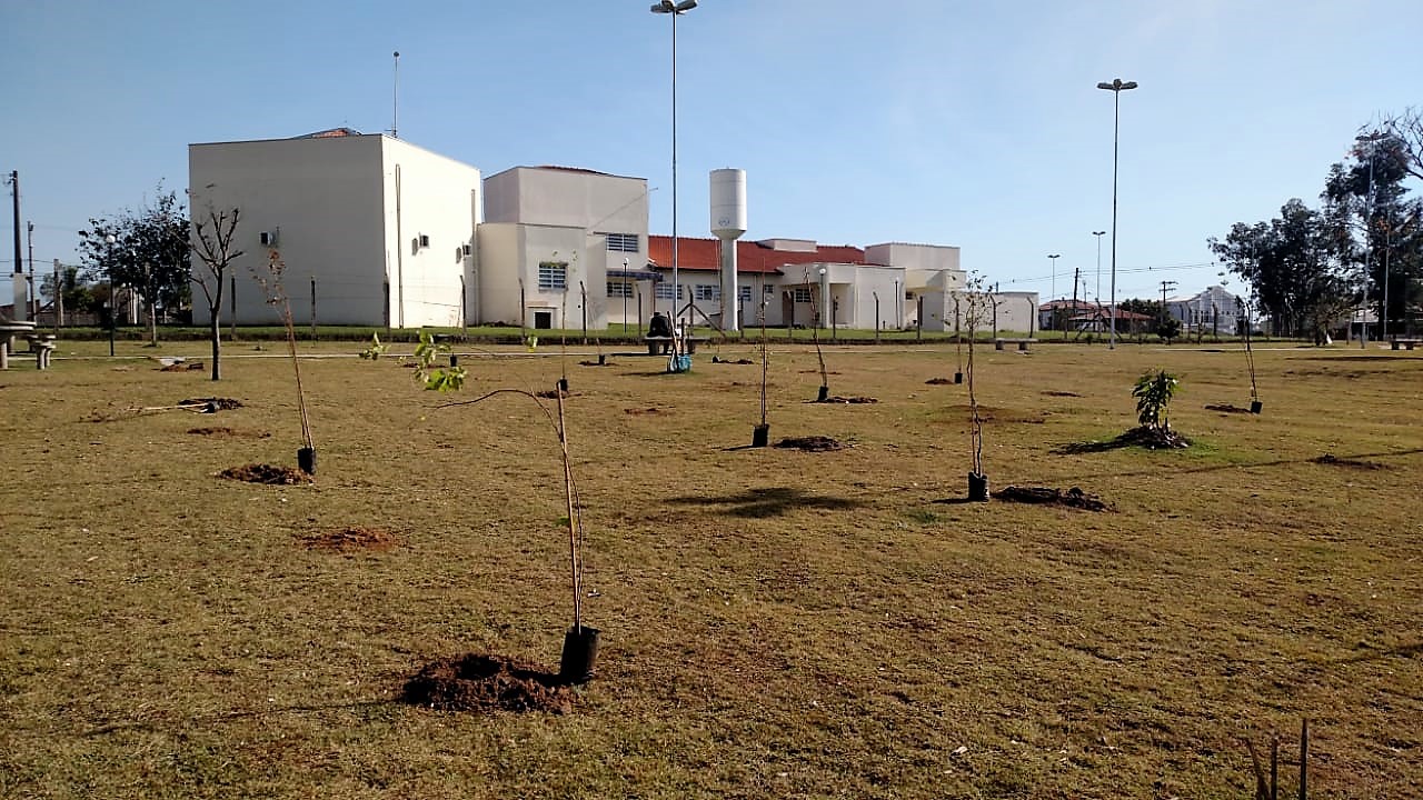 Leia mais sobre o artigo Secretaria de Meio Ambiente realiza plantio de árvores no bairro São Gabriel