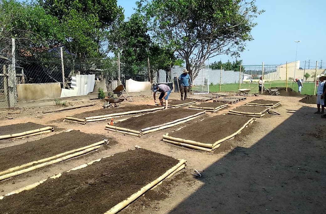 Leia mais sobre o artigo Horta comunitária é criada no bairro Jardim Santa Marta