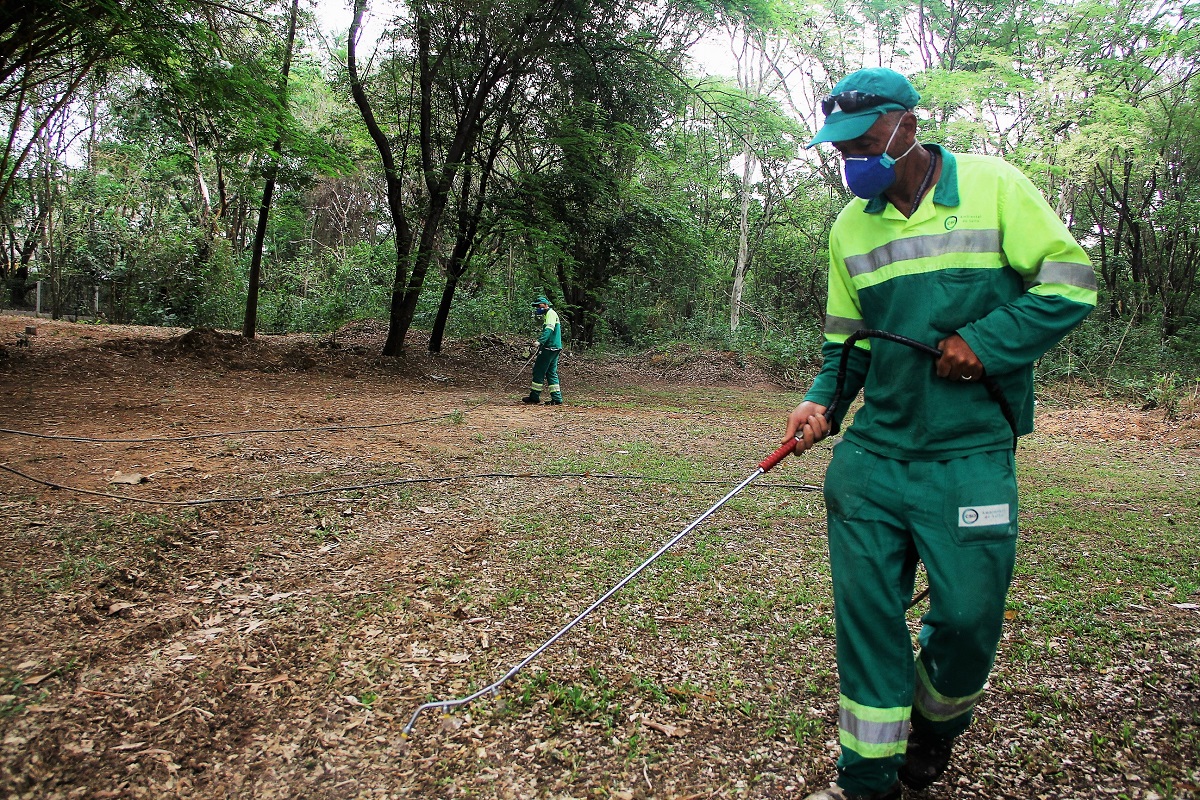 Leia mais sobre o artigo Aplicação de agente de controle biológico contra carrapato-estrela é realizada em Salto