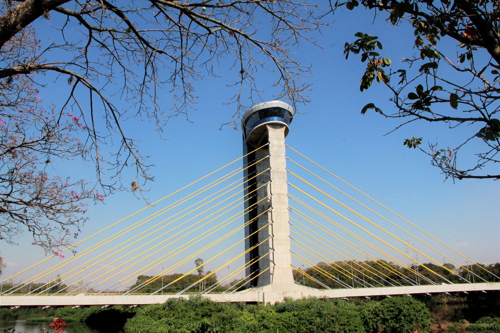 Leia mais sobre o artigo Mirante da Ponte Estaiada abre em horário especial durante os finais de semana de Janeiro