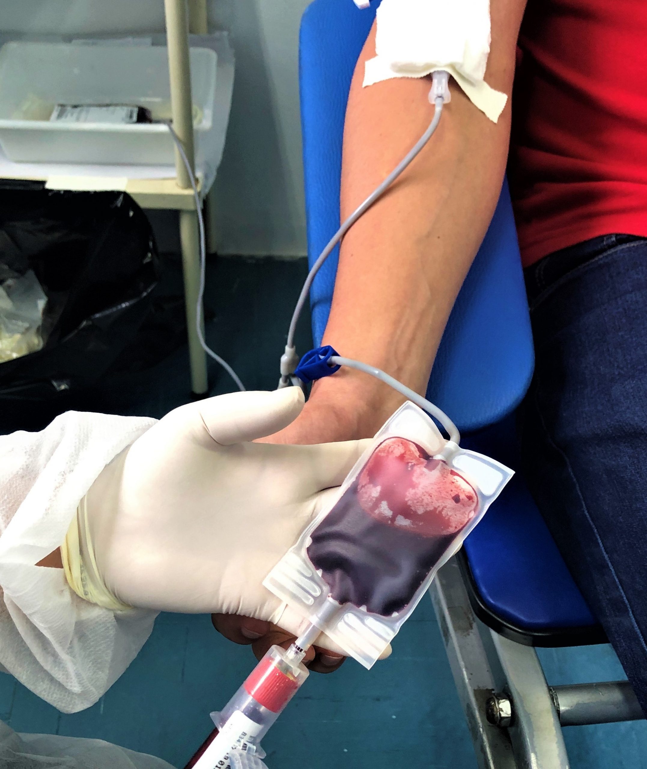 Leia mais sobre o artigo Campanha de doação de sangue acontece no sábado (18)