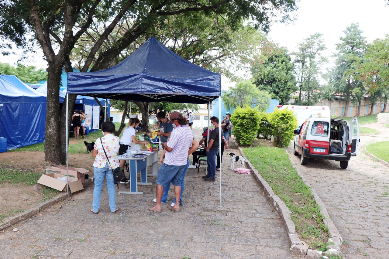 Leia mais sobre o artigo MUTIRÃO DE 12 HORAS CASTROU 205 ANIMAIS E DOOU RAÇÃO PARA ONGS DE SALTO