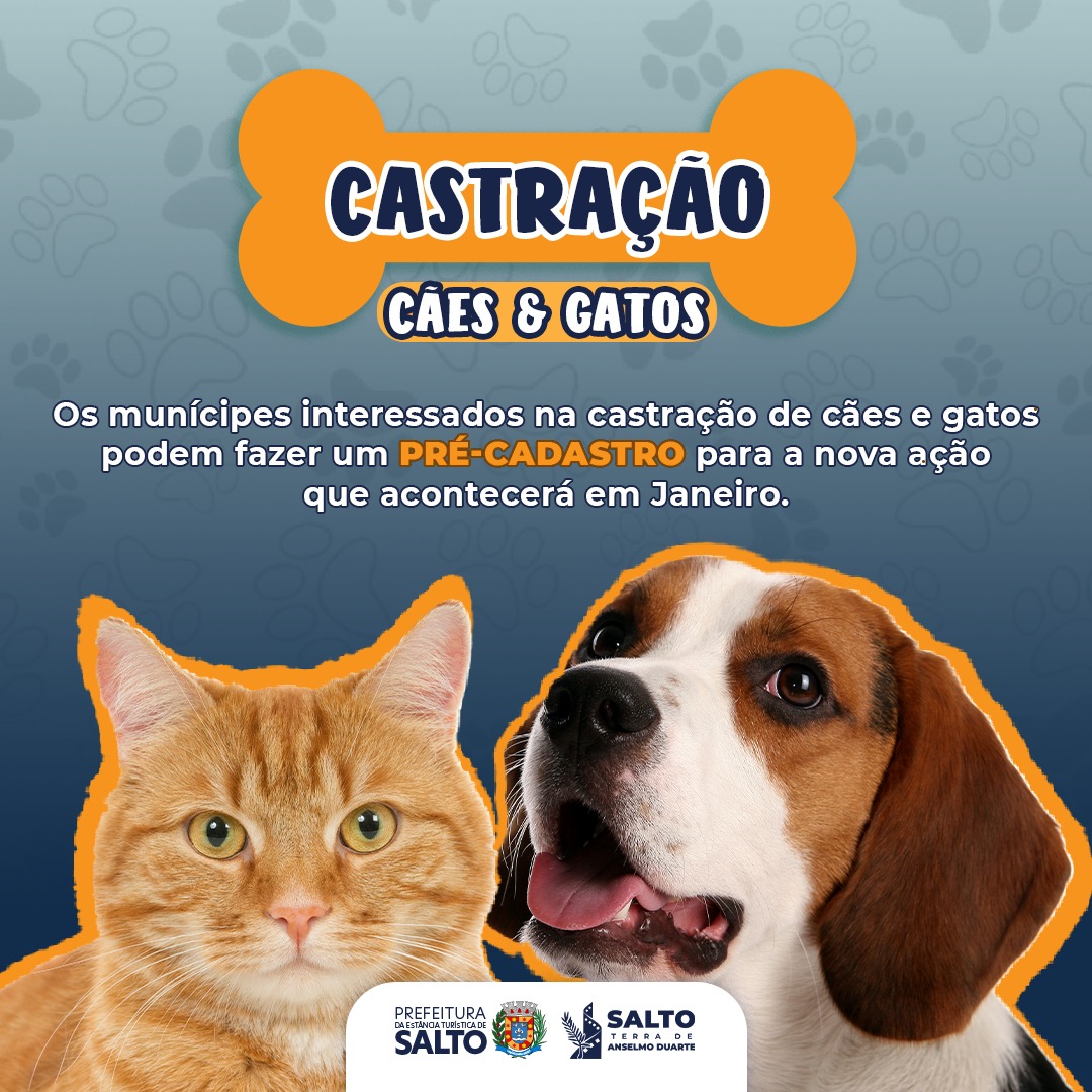 Leia mais sobre o artigo ABERTO PRÉ-CADASTRO PARA CASTRAÇÃO DE CÃES E GATOS