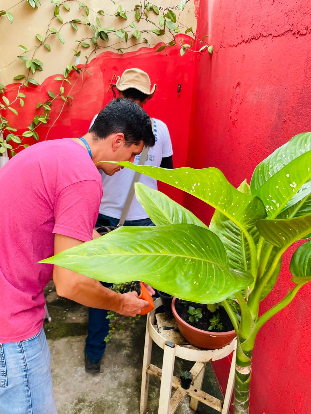 Leia mais sobre o artigo Combate à Dengue