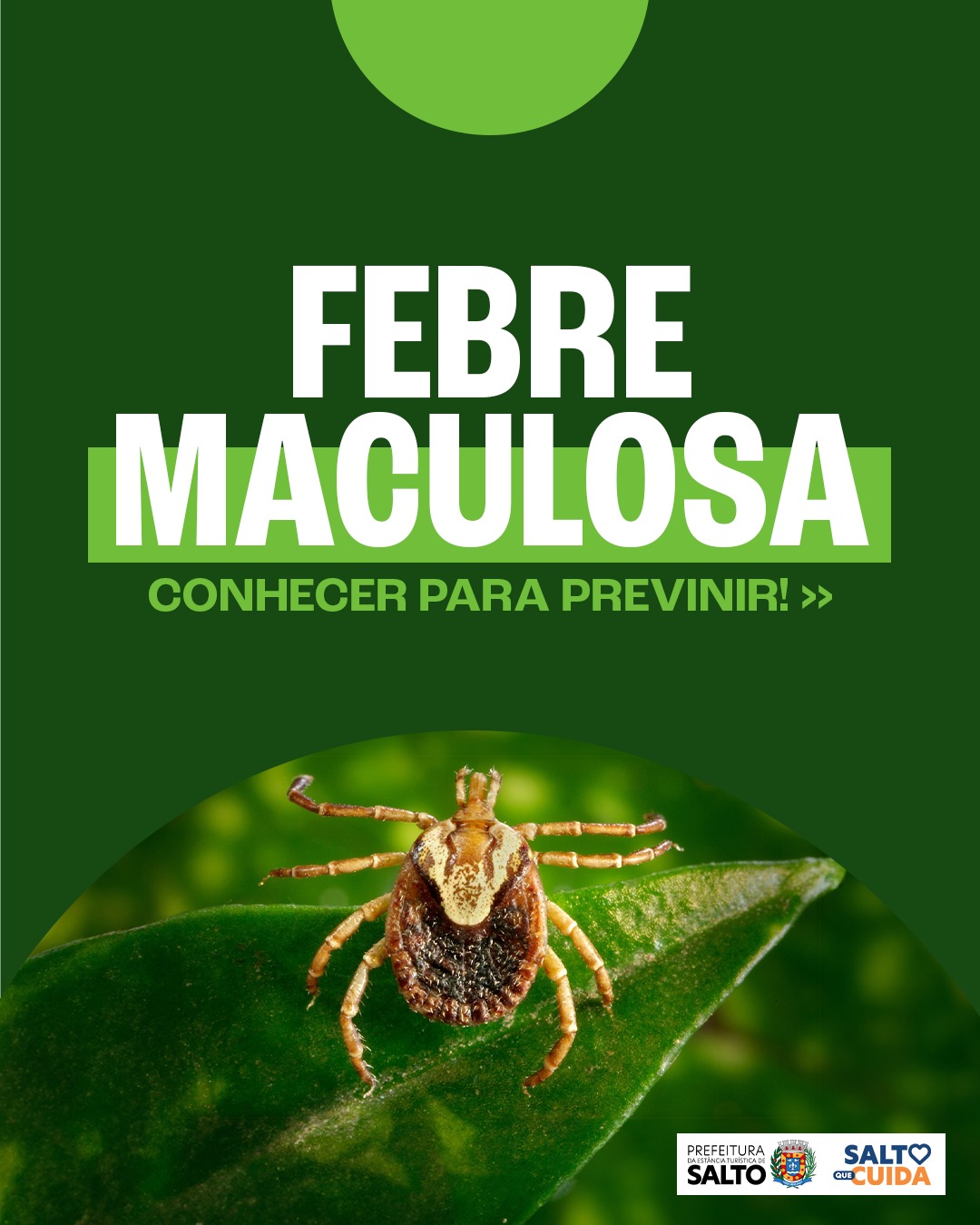 Leia mais sobre o artigo Saúde e Meio Ambiente reforçam orientações sobre a febre maculosa