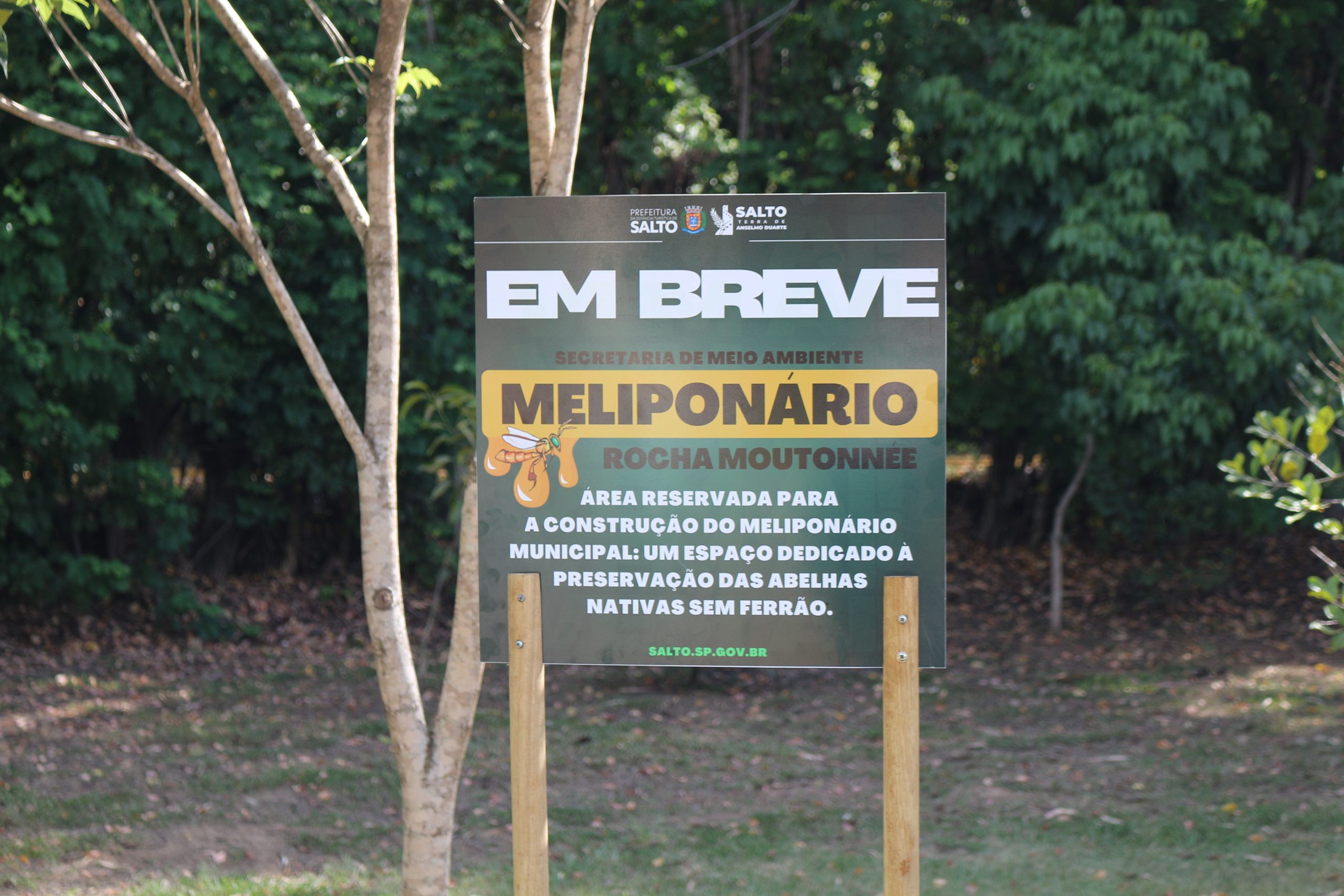 Leia mais sobre o artigo Parque Rocha Moutonnée terá Meliponário como ferramenta de preservação