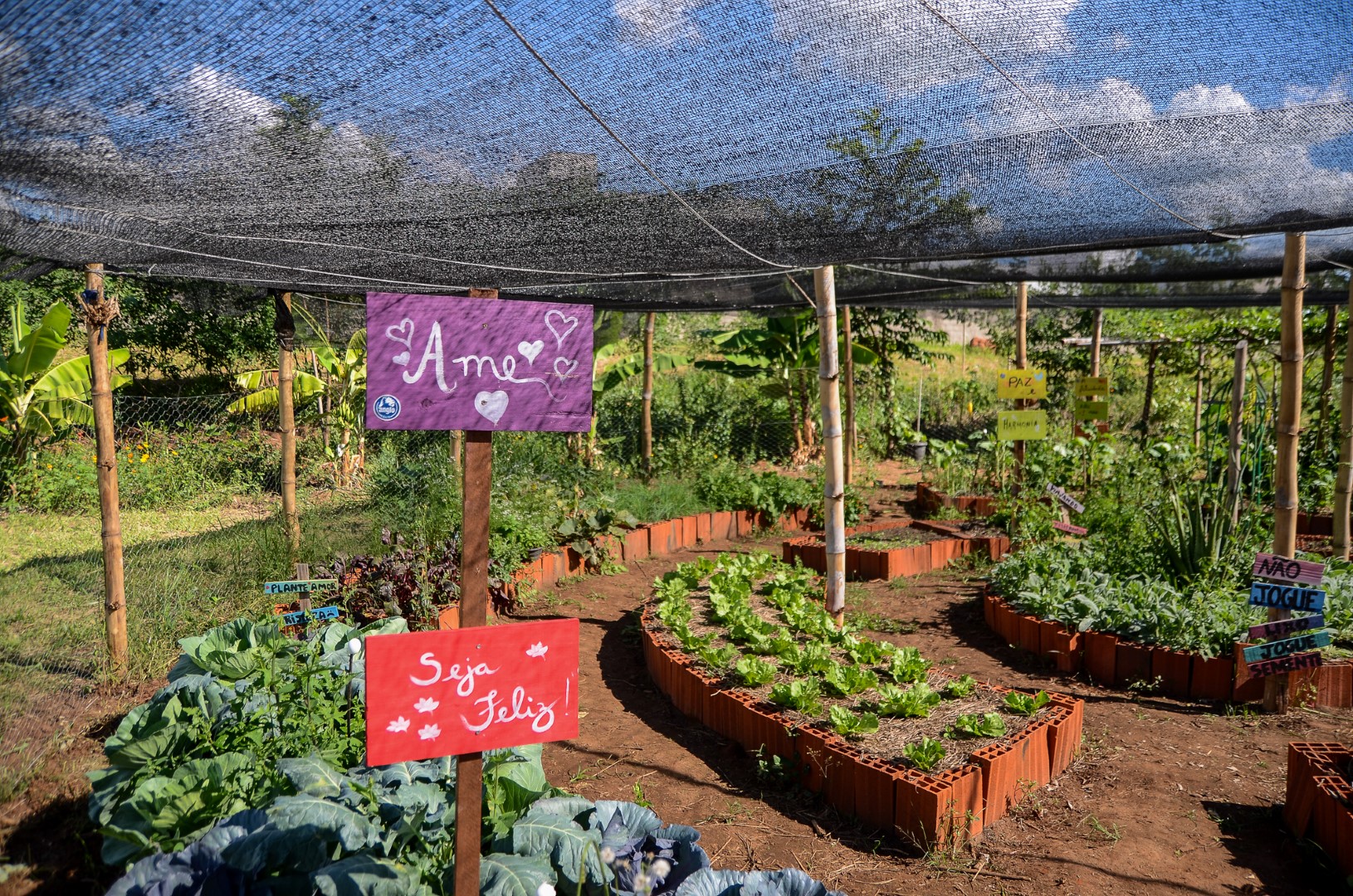 Leia mais sobre o artigo Espaço Agroecológico Sol d’Icaraí promove atividades de manejo agroflorestal