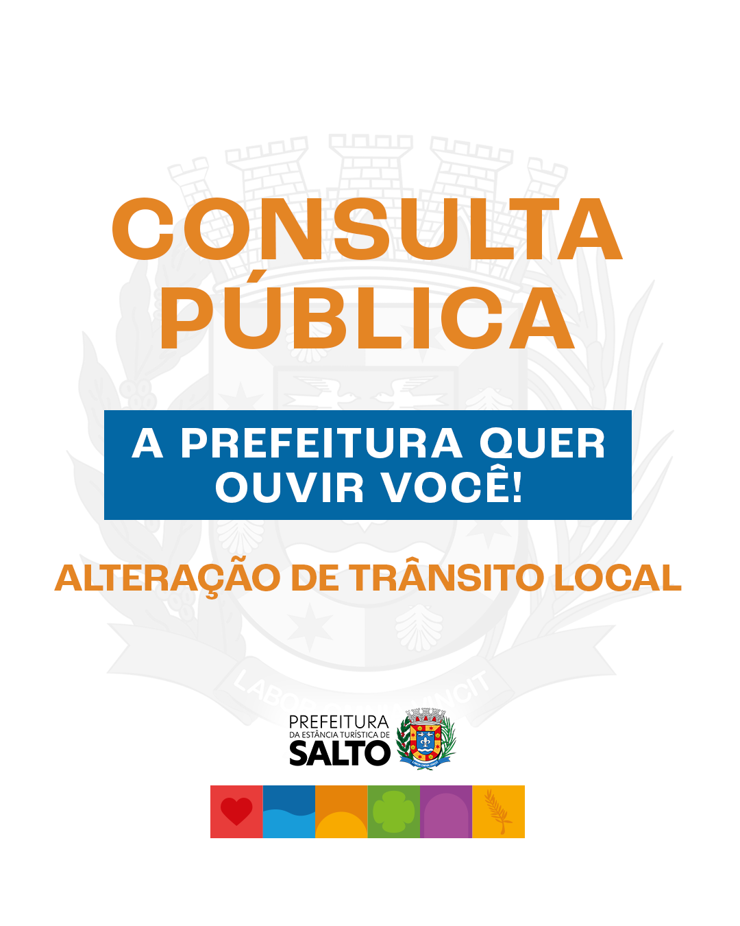 CONSULTA PUBLICA_transito