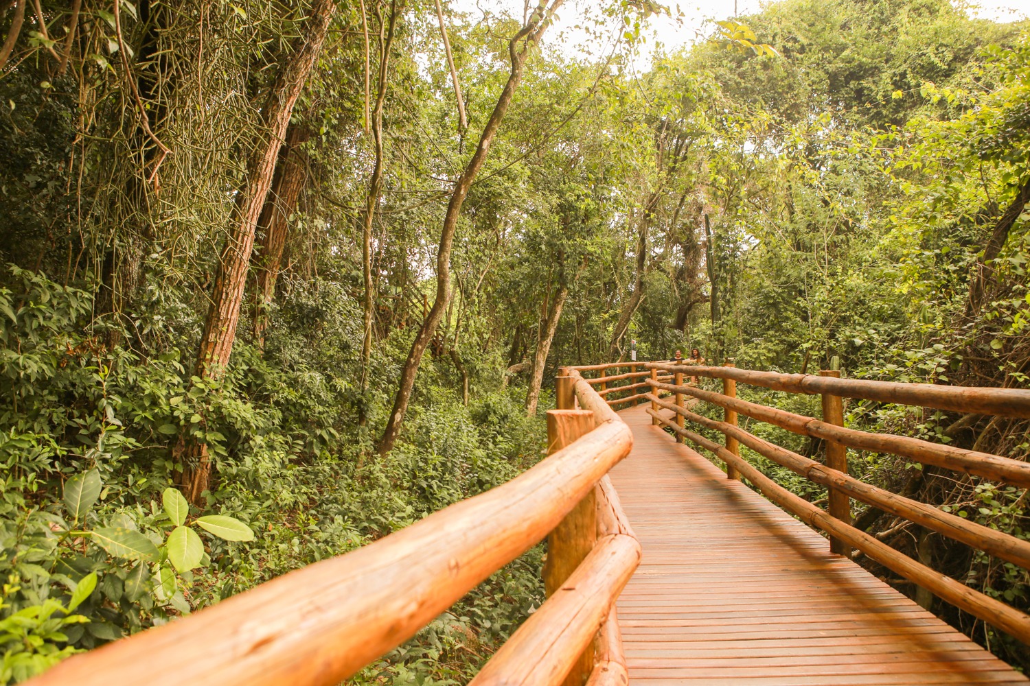 Leia mais sobre o artigo Passarela do Parque Ilha da Usina passará por manutenção e está fechada temporariamente