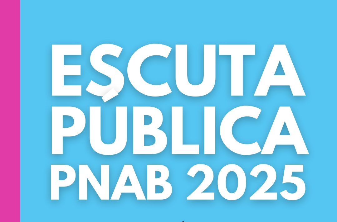 Leia mais sobre o artigo Convite: Primeira Escuta Pública da Cultura 2025 será em 13 de maio